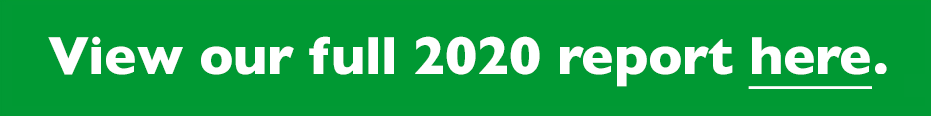 View our full 2020 report here
