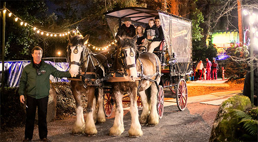 A family on a horse-drawn carriage. 