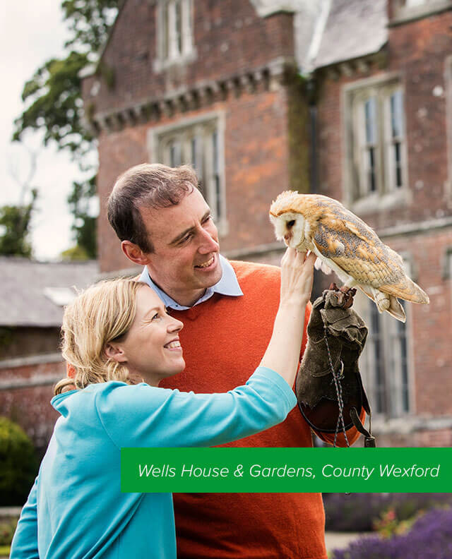 Wells House & Gardens, County Wexford