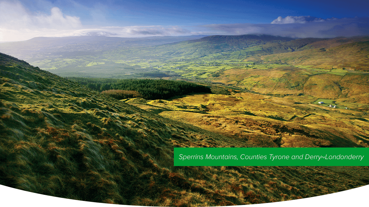 Sperrings Mountains, Counties Tyrone and Londonderry 