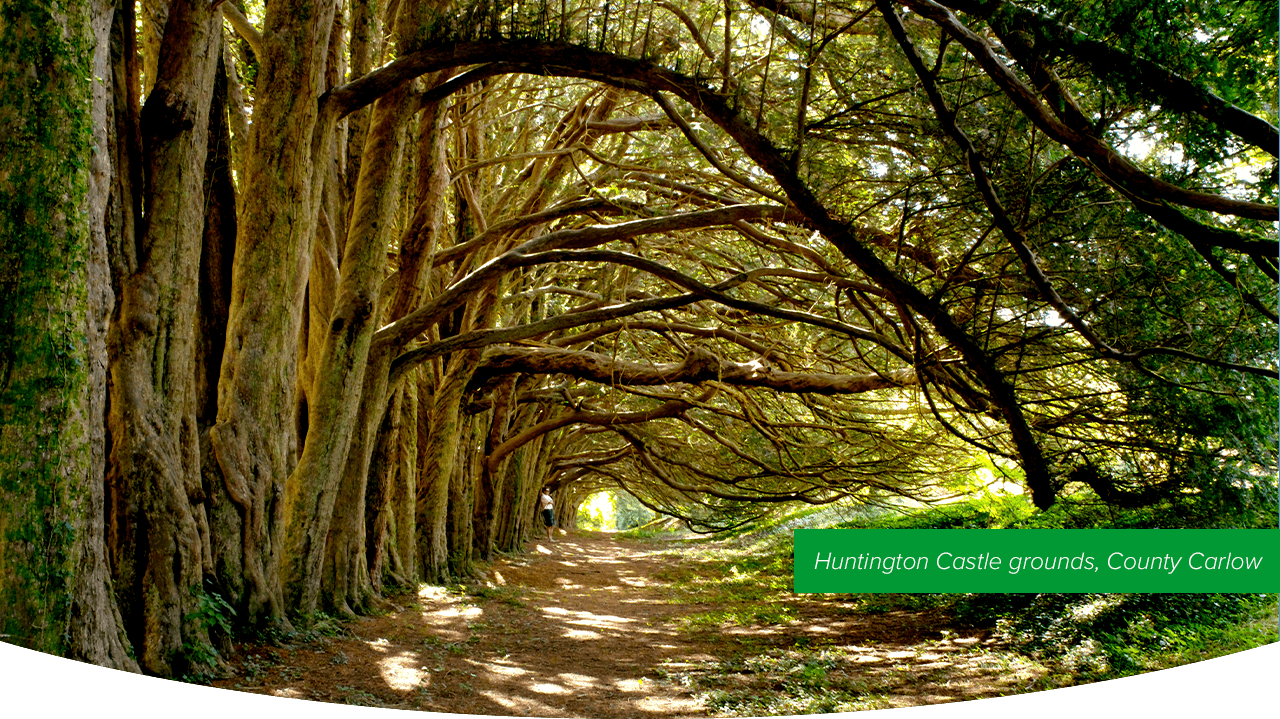 Huntington Castle, County Carlow 