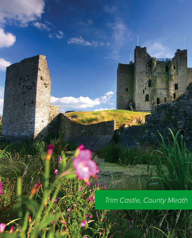 The Castle of Ireland's Ancient East